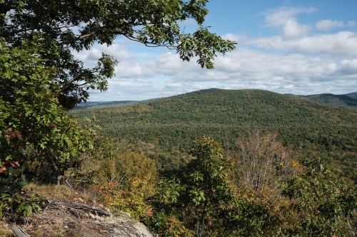 A scenic view of rolling green hills under a partly cloudy sky, framed by trees in the foreground.