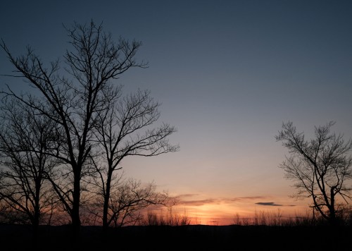 Silhouetted trees against a colorful sunset sky, with hues of orange and blue fading into twilight.