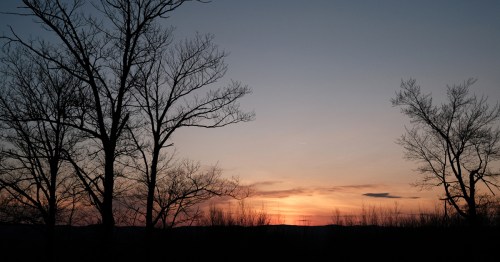 Silhouetted trees against a colorful sunset sky, with soft clouds and fading light in the background.