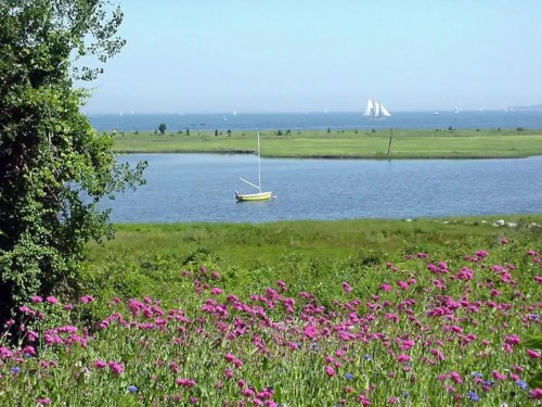 A serene landscape featuring a yellow sailboat on calm water, surrounded by green fields and blooming pink flowers.