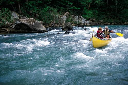 Two people paddle a yellow canoe through a rushing river surrounded by lush greenery and rocky banks.