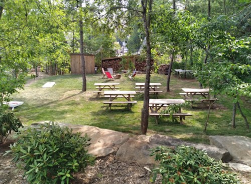 A grassy outdoor area with picnic tables, trees, and a wooden shed in the background.
