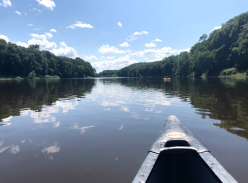 A serene view from a canoe on a calm river, surrounded by lush green trees and a clear blue sky.
