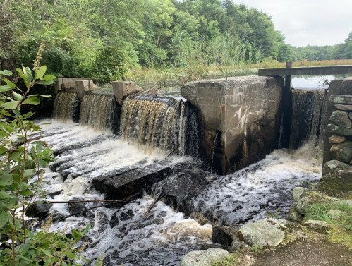 A small dam with water cascading over it, surrounded by lush greenery and rocks.