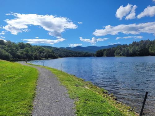 A scenic lakeside path with lush greenery, blue water, and mountains under a bright, partly cloudy sky.
