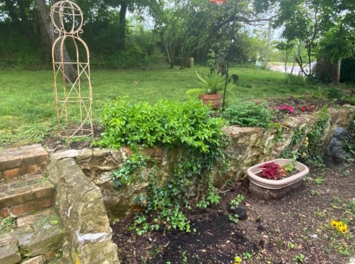 A garden scene featuring a stone wall, lush greenery, and a decorative trellis in a serene outdoor setting.
