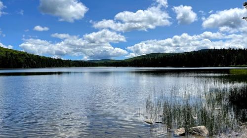 A serene lake surrounded by lush greenery and mountains, under a bright blue sky with fluffy white clouds.