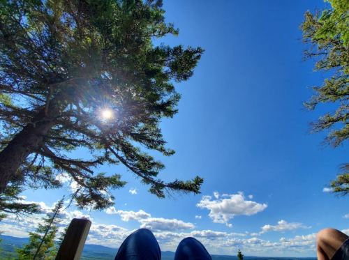 A view of blue sky and clouds through tree branches, with a person's legs resting in the foreground.