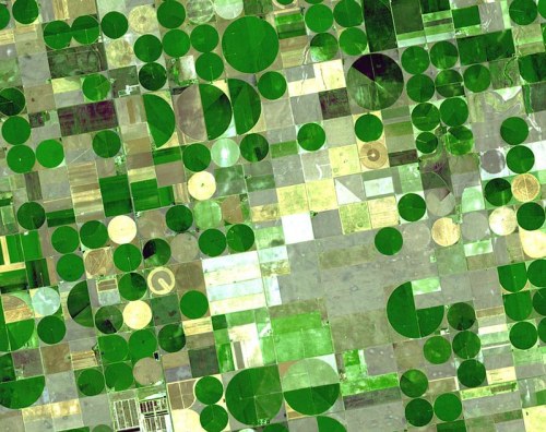 Aerial view of agricultural fields featuring circular and rectangular green plots, creating a patchwork pattern.