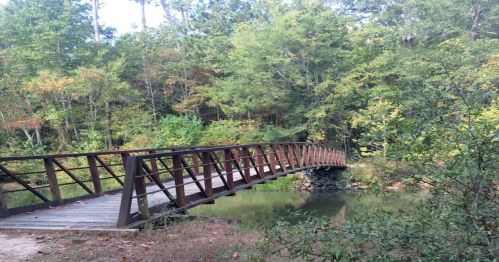 A wooden bridge arches over a calm pond, surrounded by lush green trees and autumn foliage.