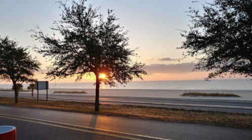 Sunrise over a calm beach, framed by trees along a road, with soft clouds in the sky and gentle waves in the distance.