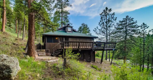 A cozy cabin nestled among tall pine trees, featuring a deck and surrounded by lush greenery.