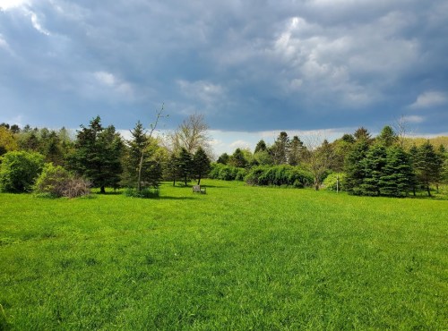 A lush green field surrounded by trees under a cloudy sky, creating a serene natural landscape.