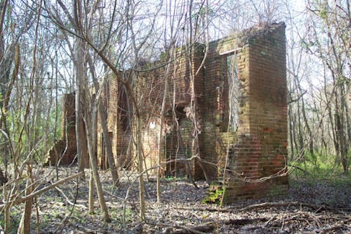 Abandoned brick ruins partially covered by trees and underbrush in a forested area.