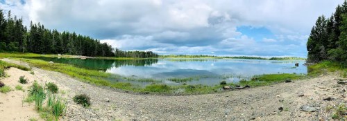 A serene lake surrounded by lush greenery and trees, reflecting clouds in the calm water under a blue sky.