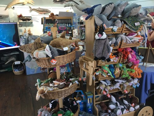 A display of various plush sea animal toys in baskets and shelves at a gift shop.