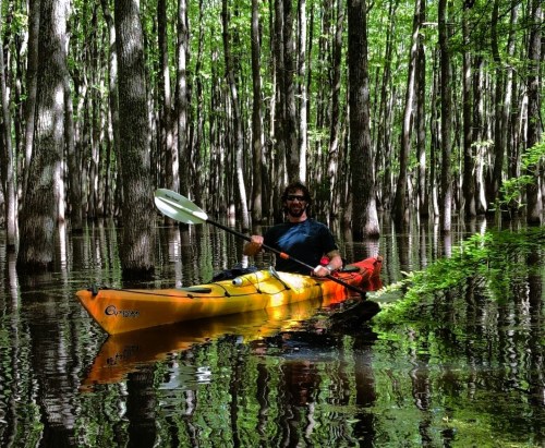 A person in a yellow kayak paddles through a serene, green forest with tall trees reflected in the calm water.