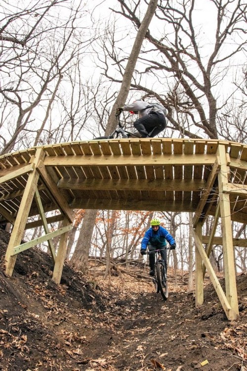 A mountain biker descends a wooden ramp in a wooded area, surrounded by bare trees and fallen leaves.