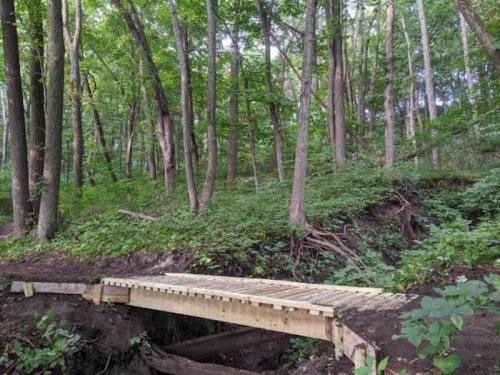 A wooden bridge spans a small ravine in a lush, green forest with tall trees and dense undergrowth.