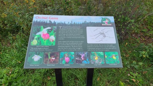 A sign about orchids, featuring images and descriptions of various orchid species in a natural setting.