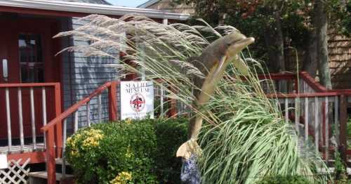 A dolphin sculpture surrounded by tall grass in front of a building with a sign for a sealife museum.