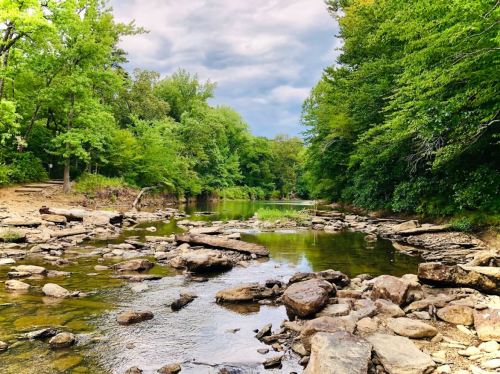 A serene river scene with rocky banks, surrounded by lush green trees under a cloudy sky.