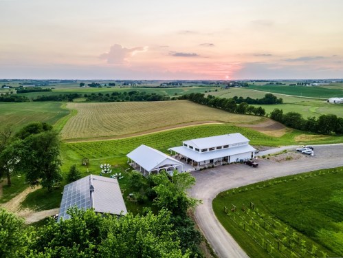 Aerial view of a farm with a modern building, vineyards, and fields under a sunset sky.