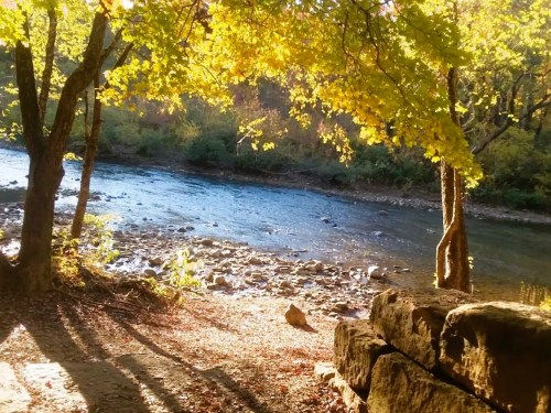 A serene river scene surrounded by trees with autumn leaves, sunlight filtering through, and rocky riverbank.