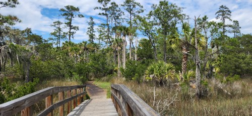 A wooden bridge leads through lush greenery and tall trees under a partly cloudy sky.