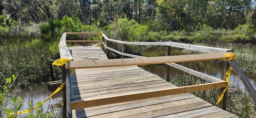 A wooden boardwalk with caution tape, surrounded by lush greenery and a calm waterway.