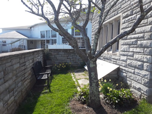 A stone wall surrounds a small garden with a tree, flowers, and a bench beside a building.