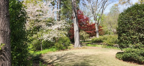 A serene garden scene featuring blooming trees, lush greenery, and a clear blue sky.