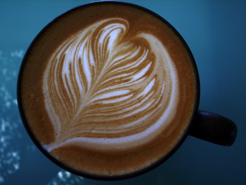 A close-up of a latte with intricate leaf-shaped foam art on top, in a dark cup against a light background.