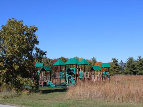 A green playground structure surrounded by tall grass and trees under a clear blue sky.