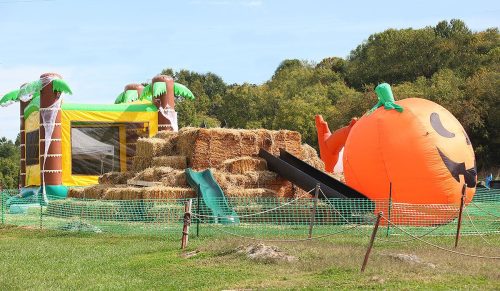 A colorful inflatable pumpkin and a haystack slide at a fun outdoor play area with palm trees.