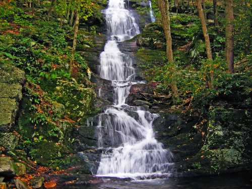 A serene waterfall cascading down rocky terrain, surrounded by lush green trees and foliage.