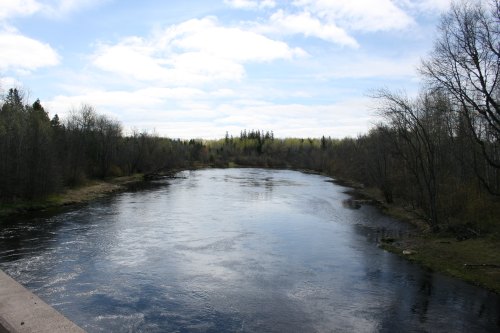 A calm river flows through a lush landscape under a partly cloudy sky, surrounded by trees and greenery.