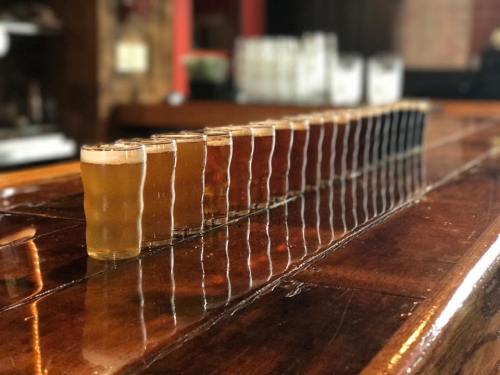 A row of beer samples in various shades, lined up on a polished wooden bar.
