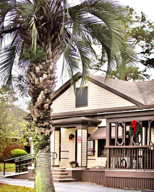 A palm tree in front of a house decorated with a wreath, surrounded by greenery and a pathway.