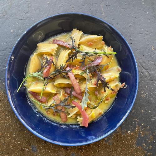 A blue bowl filled with pasta, garnished with herbs and pink pickled onions in a creamy sauce.