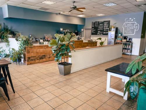 Cozy coffee shop interior with plants, a wooden counter, and a chalkboard menu on the wall. Bright and inviting atmosphere.