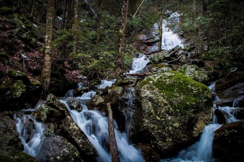 A serene forest scene featuring a cascading waterfall over moss-covered rocks surrounded by lush greenery.