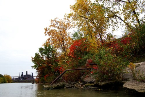 A riverbank with vibrant autumn foliage and an industrial backdrop, featuring trees in shades of red and orange.