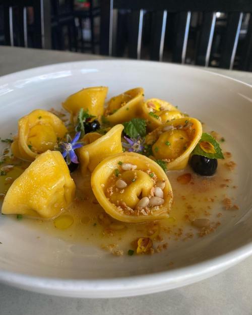 A plate of yellow tortellini garnished with herbs, flowers, and a drizzle of oil, served in a light sauce.