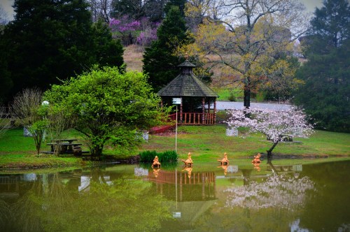 A serene pond reflects a gazebo and blooming trees, surrounded by lush greenery and a peaceful landscape.