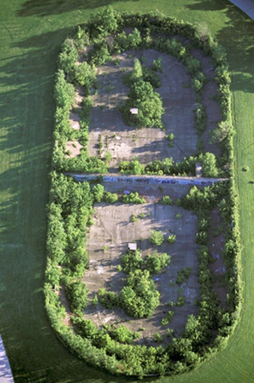Aerial view of an overgrown, abandoned oval-shaped track surrounded by trees and grass.