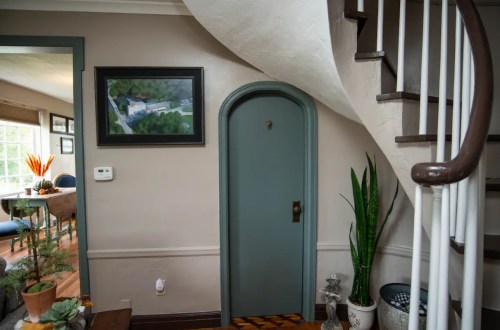 A cozy entryway featuring a spiral staircase, a small blue door, and decorative plants.