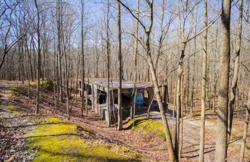 Abandoned structure covered in graffiti, surrounded by bare trees and mossy ground in a wooded area.