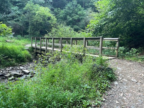 A wooden bridge spans a small creek, surrounded by lush greenery and trees in a peaceful forest setting.