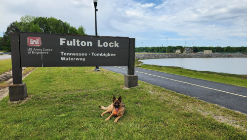 A dog rests on the grass near a sign for Fulton Lock, with a waterway and trees in the background.